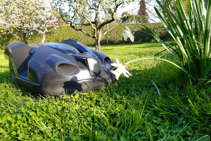 Rasenroboter auf Rasen mit blühenden Obstbäumen und Narzissen