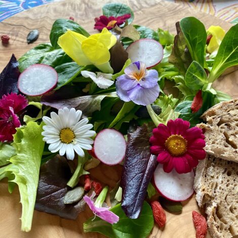 Frühlingssalat mit essbaren Blüten, Radieschen und Brot auf einem Holzteller serviert
