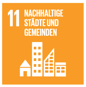 SDG 11