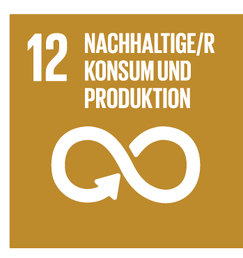 SDG 12