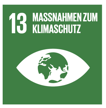 SDG 13