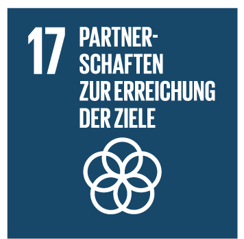 SDG 17
