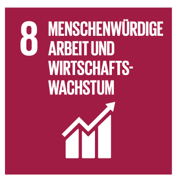 SDG 8