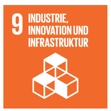 SDG 9