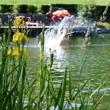 Baden im See