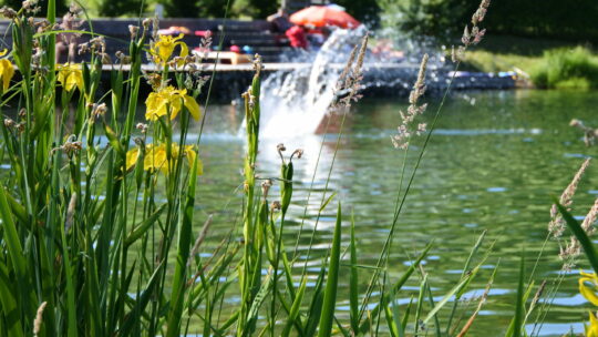 Baden im See