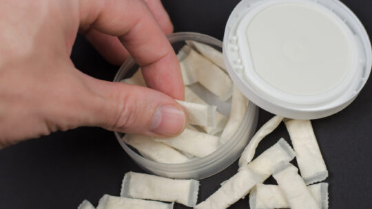 Hand nimmt Snus Beutel aus einer Dose.