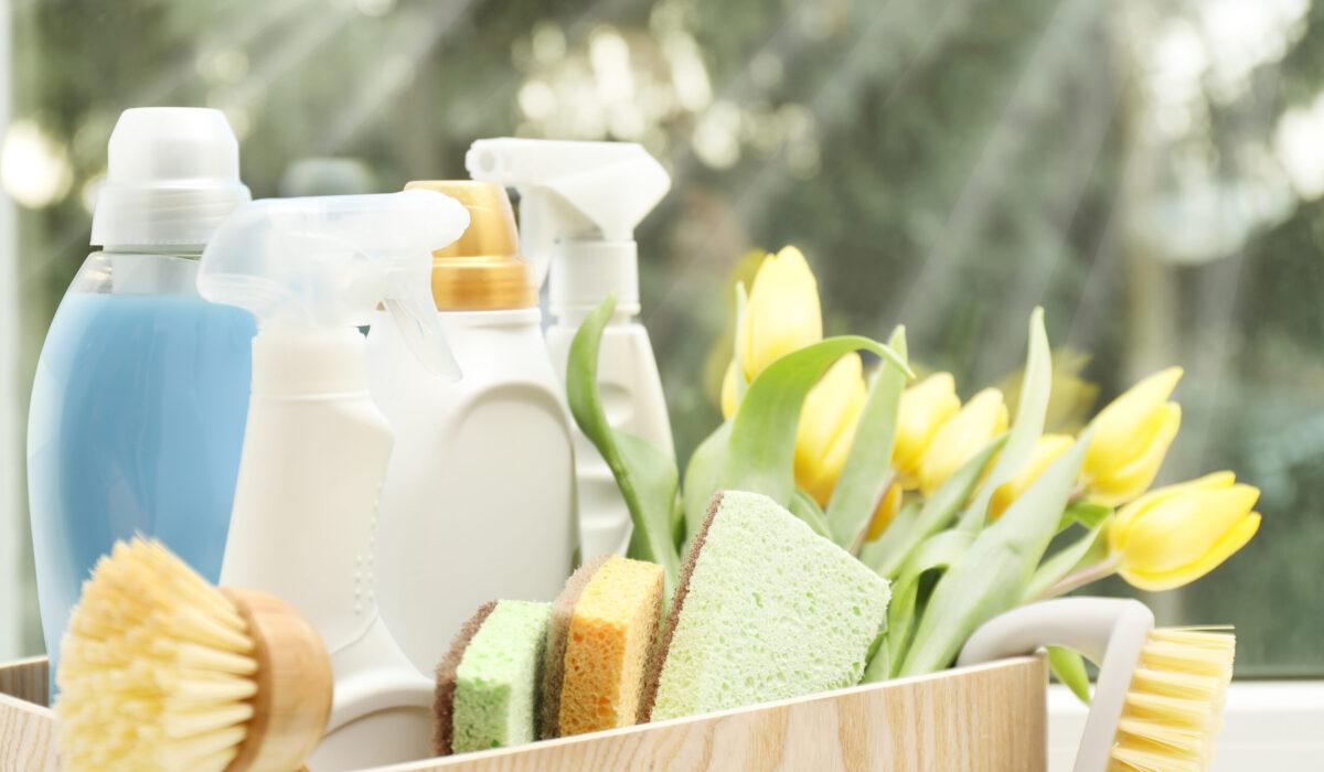 Frühjahrsputz. Reinigungsmittel, Zubehör und Tulpen auf der Fensterbank