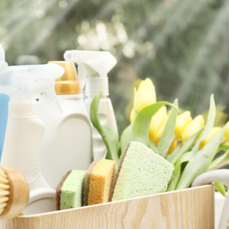Frühjahrsputz. Reinigungsmittel, Zubehör und Tulpen auf der Fensterbank