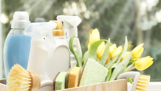 Frühjahrsputz. Reinigungsmittel, Zubehör und Tulpen auf der Fensterbank