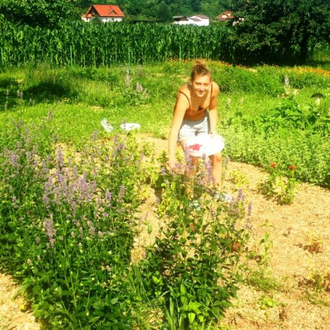 Kräuter aus dem eigenen Garten