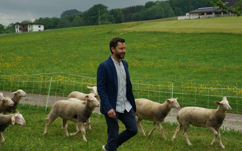 Florian Alber mit Schafen auf der Weide